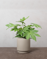 type=Simple krukke/color=Light Sand