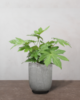 type=Glaseret krukke/color=Grå