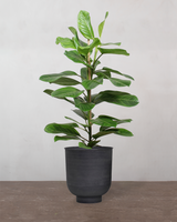 type=Vig krukke/color=Sort