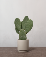 type=Simple krukke/color=Light Sand