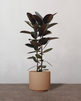 type=Simple krukke/color=Pale Terracotta