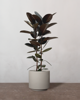 type=Simple krukke/color=Light Sand