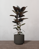 type=Simple krukke/color=Warm Black