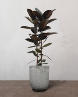 type=Glaseret krukke/color=Grå