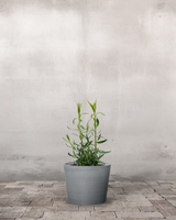 type=Greenify Udendørskrukke/color=Grå