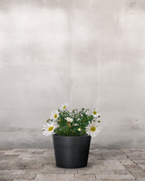 type=Greenify Udendørskrukke/color=Sort