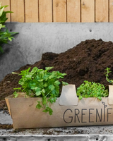 Skimmiakassen, Hvid - Altankasse m. vandreservoir