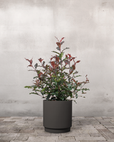 type=Simple krukke/color=Warm Black