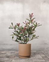 type=Simple krukke/color=Pale Terracotta