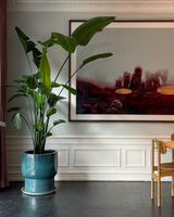 Glaseret Krukke Med Underfad - Blågrøn - Ø40