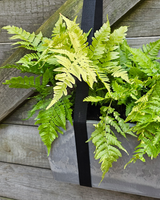 Greenify Altankasseophæng - Sæt á 2