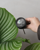 Greenify Fugtmåler til planter