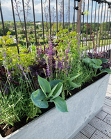 Greenify Plantekasse - Højbed på hjul m. vandreservoir