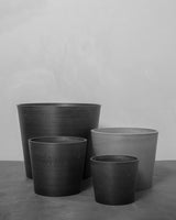 Den Stedsegrønne Altanpakke