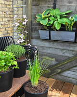 Hostakassen - Altankasse m. vandreservoir