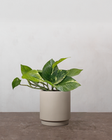 type=Simple krukke/color=Light Sand