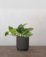 type=Simple krukke/color=Warm Black