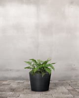 type=Greenify Udendørskrukke/color=Sort