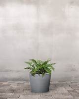 type=Greenify Udendørskrukke/color=Grå