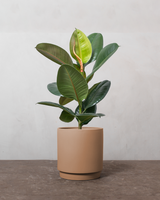 type=Simple krukke/color=Pale Terracotta