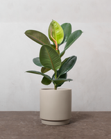 type=Simple krukke/color=Light Sand