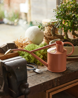 HAWS The Rowley Ripple 1 L Vandkande - Pink Clay