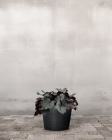 type=Greenify Udendørskrukke/color=Sort