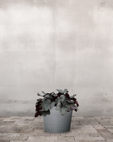 type=Greenify Udendørskrukke/color=Grå