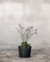 type=Greenify Udendørskrukke/color=Sort