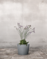 type=Greenify Udendørskrukke/color=Grå