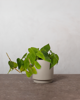 type=Simple krukke/color=Light Sand