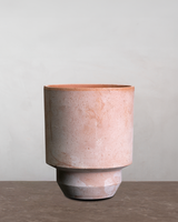 Hoff Krukke - Raw Rosa