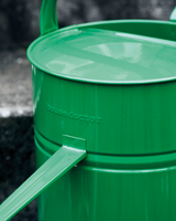 Grøn Vandkande - 10L