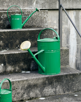 Grøn Vandkande - 10L