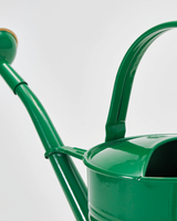 Grøn Vandkande - 2L