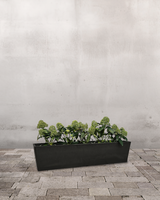 Skimmiakassen, Hvid - Altankasse m. vandreservoir