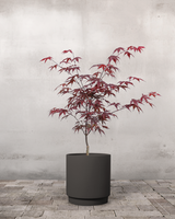 type=Simple krukke/color=Warm Black