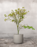 type=Simple krukke/color=Light Sand