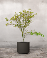 type=Simple krukke/color=Warm Black