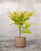 type=Simple krukke/color=Pale Terracotta
