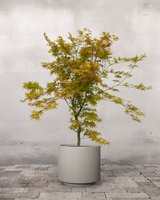 type=Simple krukke/color=Light Sand