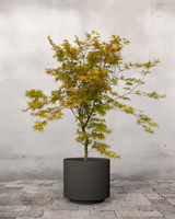 type=Simple krukke/color=Warm Black