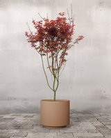 type=Simple krukke/color=Pale Terracotta