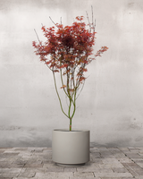 type=Simple krukke/color=Light Sand