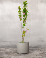 type=Simple krukke/color=Light Sand