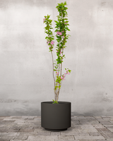 type=Simple krukke/color=Warm Black