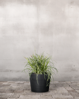 type=Greenify Udendørskrukke/color=Sort