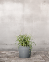 type=Greenify Udendørskrukke/color=Grå