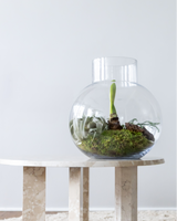 Årets juledekoration fra Greenify – eksklusiv julestemning i grønne nuancer