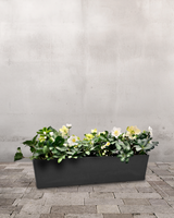 type=Greenify Udendørskrukke/color=Sort